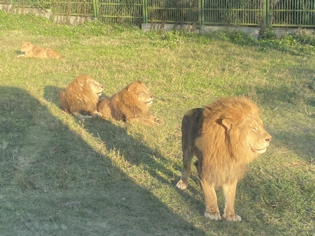 【職業大科普】1個企業裡的健康代言詞/職護(廠護) – 踏入前你要知道的幾點秘辛