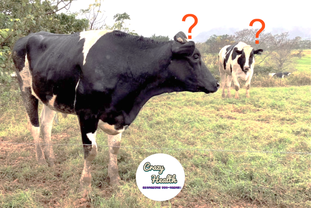 【籌辦活動】辦好1場健康促進活動「主管支持」很重要，但這四個字的奧妙你掌握了嗎？ 