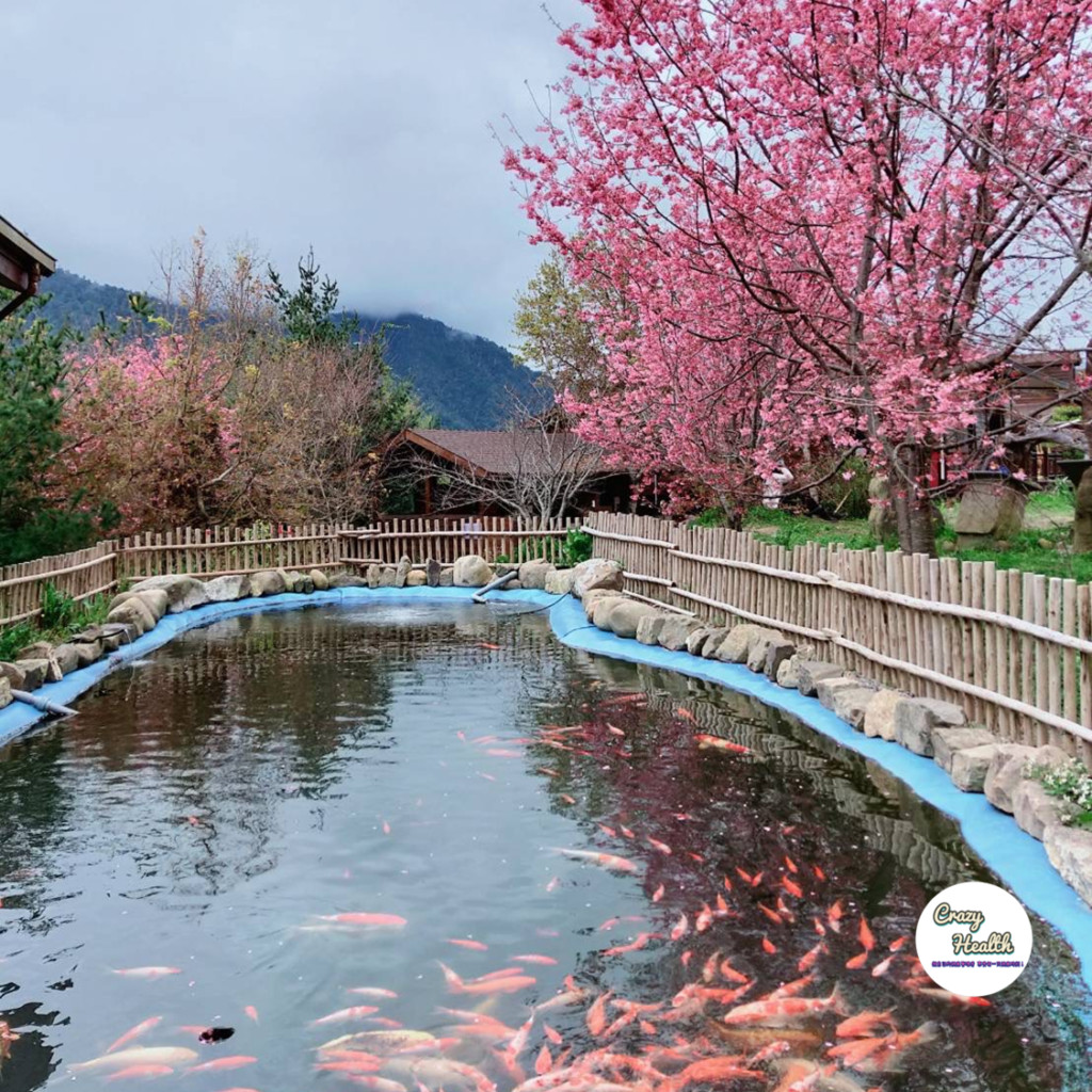 女性要如何工作、生活與家庭間保持平衡，這個世紀難題-3個面向我想跟大家分享的心境體驗