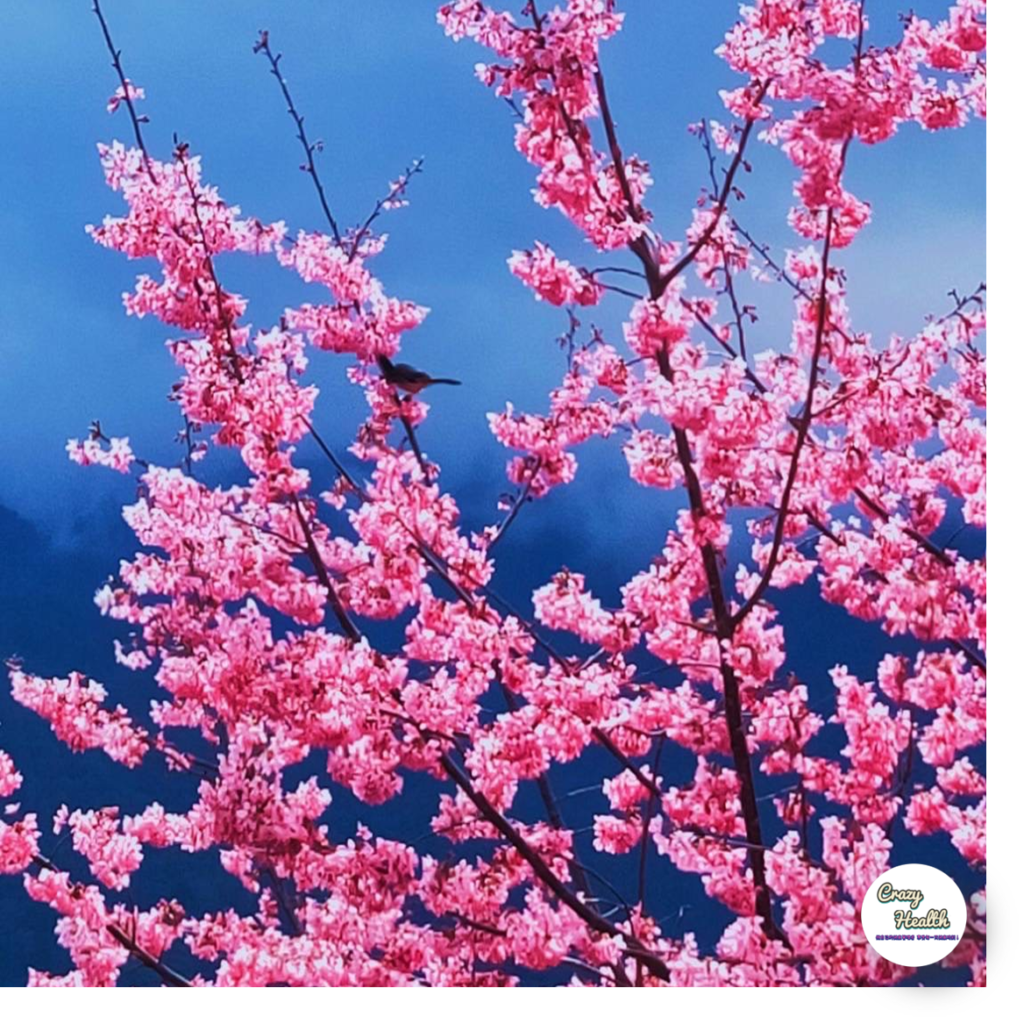 帶你找回生命的掌舵的實踐秘方-「更快樂」3個的實用型筆記，往事前塵皆不足道，心靈感受更勝一切