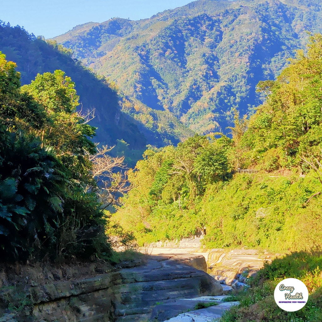 幾個月的忙碌，究竟什麼人才是我內在裡最該看重的？ – 1個忙到不行的生命警醒