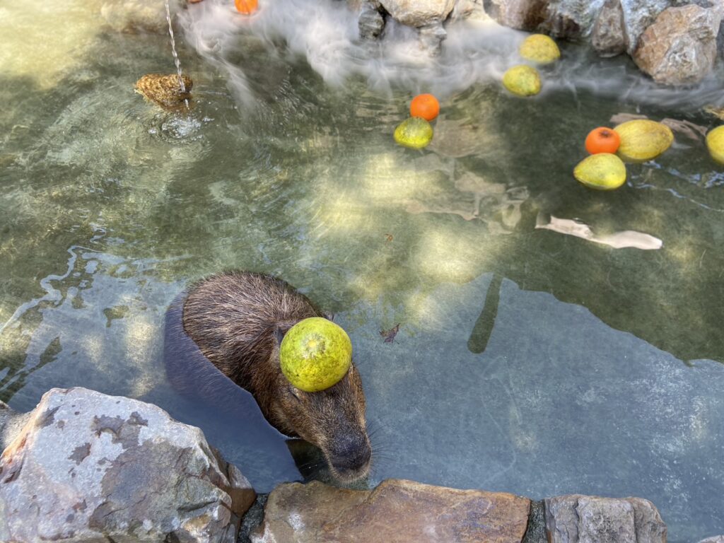 快節奏時代，如何成功抗壓2個心態找到自己的心理韌性-心理韌性序曲：認識壓力、強化樂觀