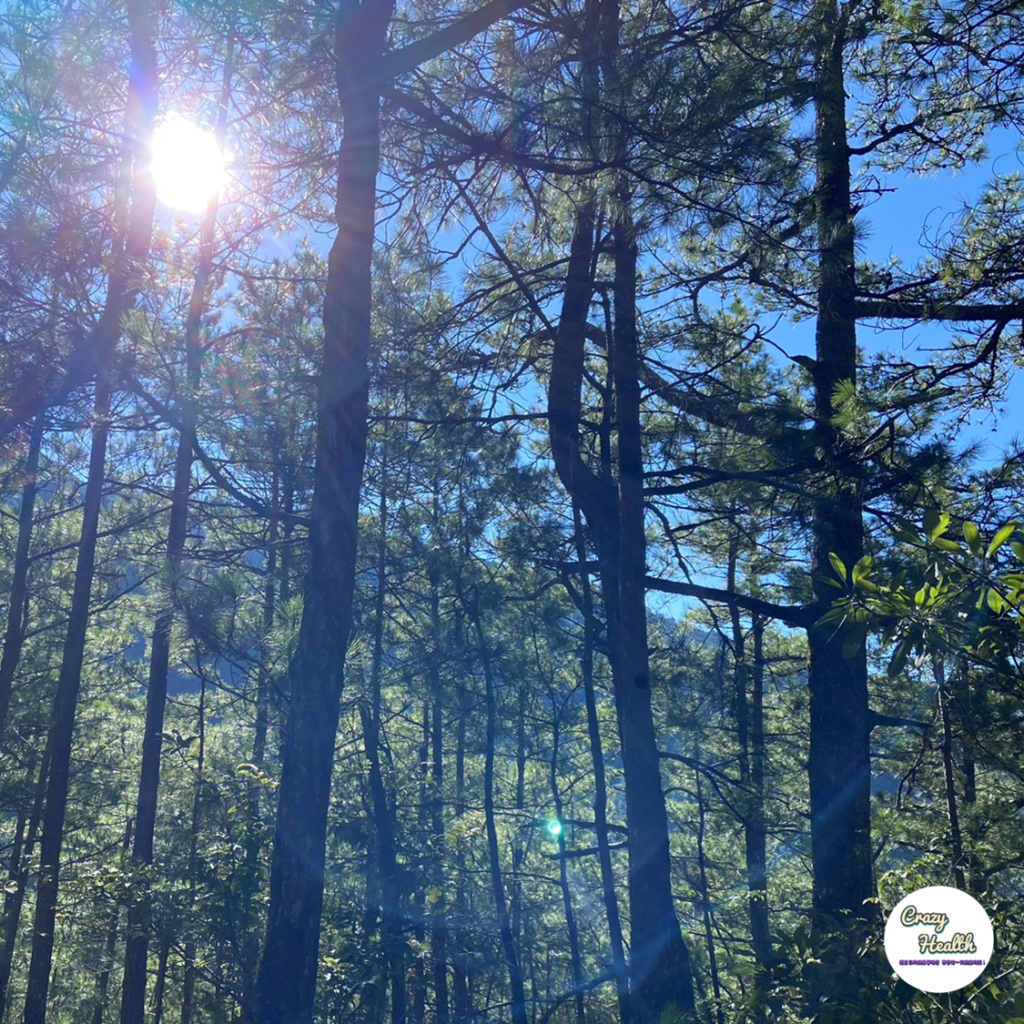 職場本身就是場生存遊戲，如果想成為一個被看得起的新人，你該擁有的4個心態哲學 